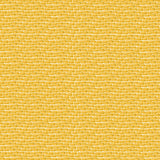 Wizard Of Oz Yellow Brick Road