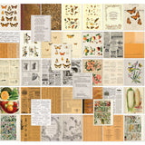 Peach Collage Sheets