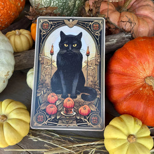 Halloween Cat Tarot Box