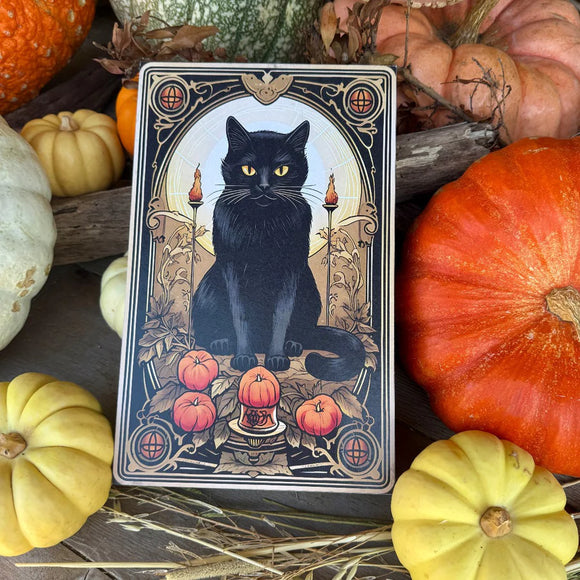 Halloween Cat Tarot Box