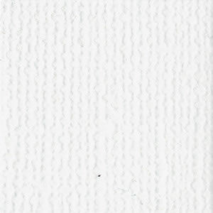 Bazzill Cardstock: Bazzill White