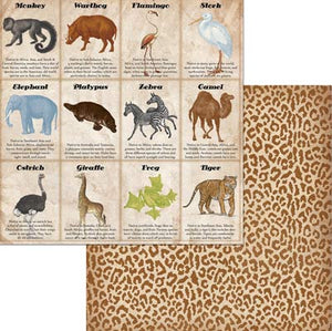 Jungle Life: Animals