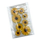 Sunflowers Amber